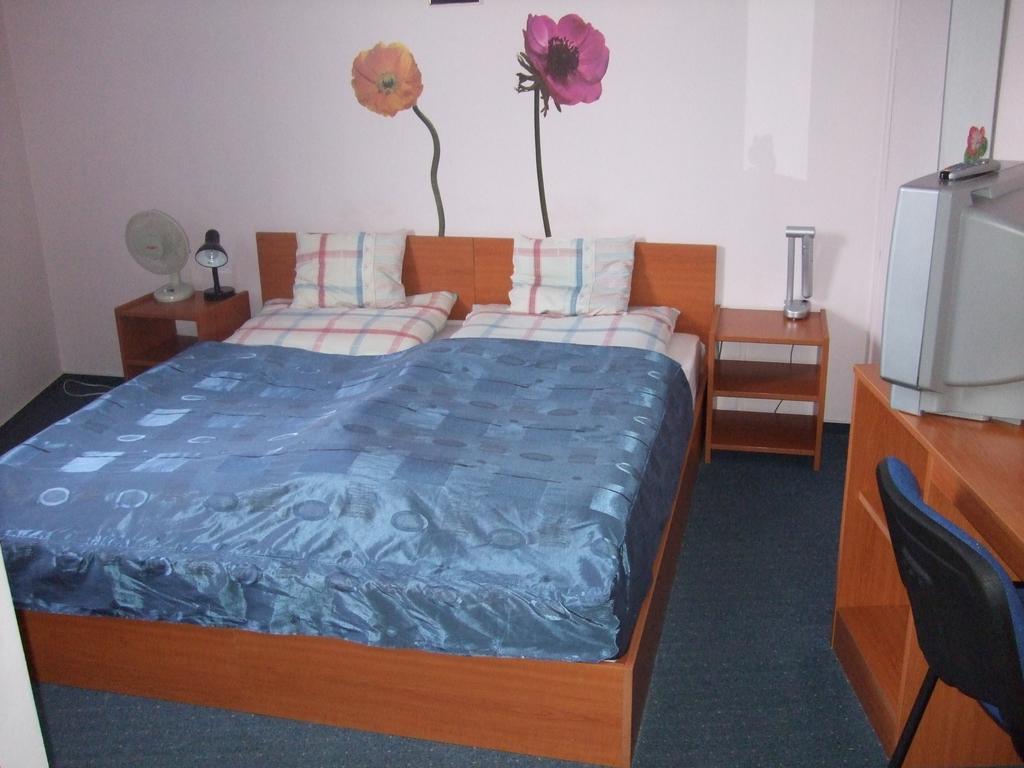 Timarhaz Panzio Bed and Breakfast Szeged Værelse billede